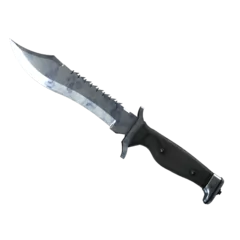 ★ Bowie Knife | Stained (Factory New)