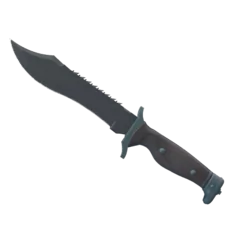 ★ Bowie Knife | Night (Factory New)