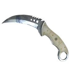 ★ Talon Knife | Stained (Factory New)