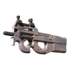 P90 | Wash me (Factory New)