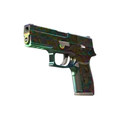 P250 | Visions (Factory New)