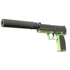 USP-S | Para Green (Factory New)