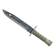 ★ Bayonet | Stained (Factory New)