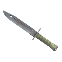 ★ Bayonet | Rust Coat (Well-Worn)