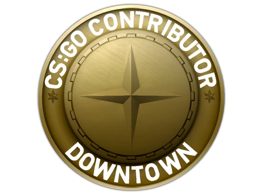 Downtown Map Coin