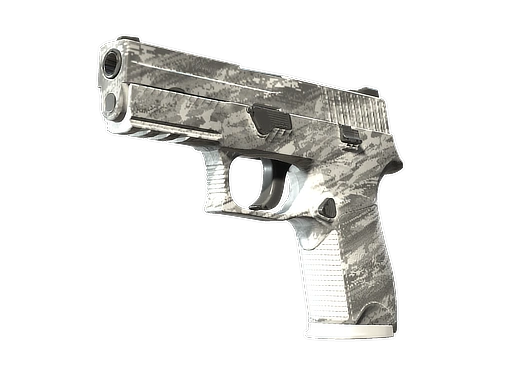 P250 | Sleet (Minimal Wear)