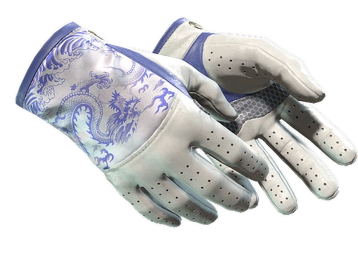 ★ Driver Gloves | Wave Chaser (Minimal Wear)