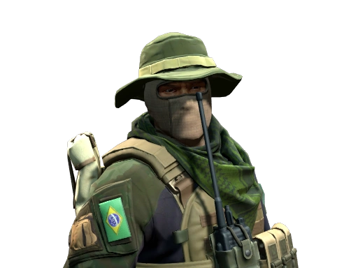 Brazilian 1st Battalion