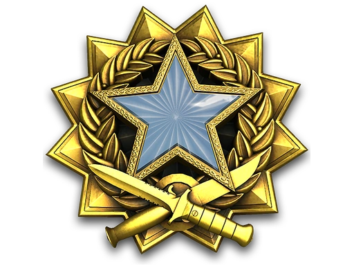 2017 Service Medal