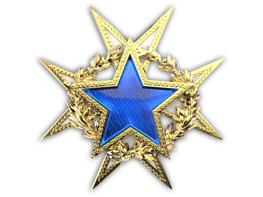 2015 Service Medal