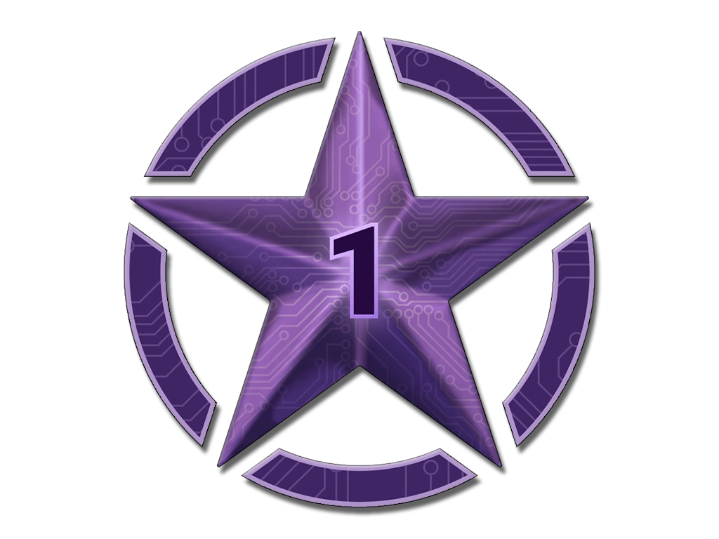 1 Star for Operation Shattered Web