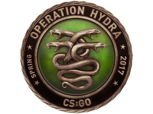 Operation Hydra Challenge Coin