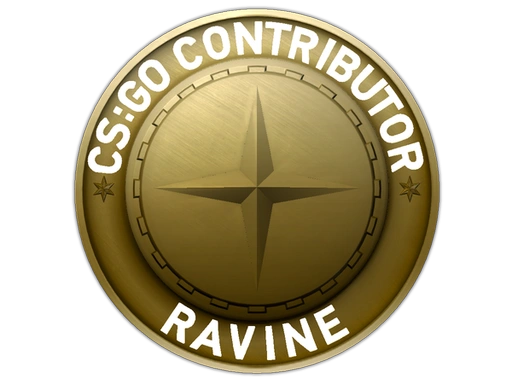 Ravine Map Coin